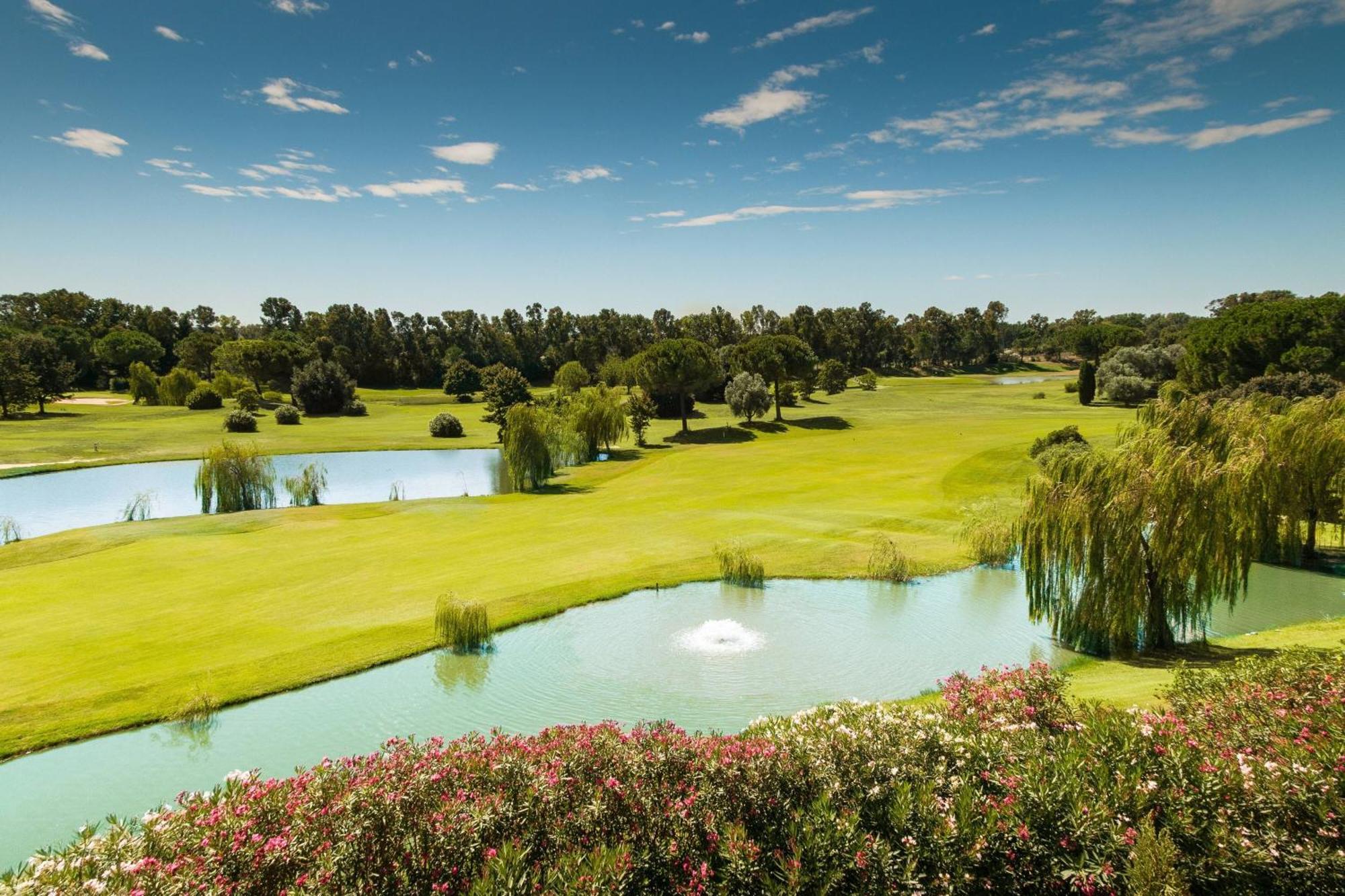 Sheraton Rome Parco De Medici מראה חיצוני תמונה